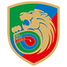 Miedz Legnica